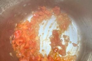saute onions and the tomatoes