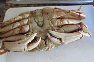 loosen the shell of the crab with a knife