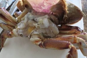 clean the yellow goo inside the crab