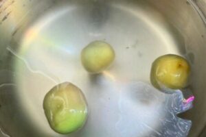 balls floating in the saucepot with boiling water