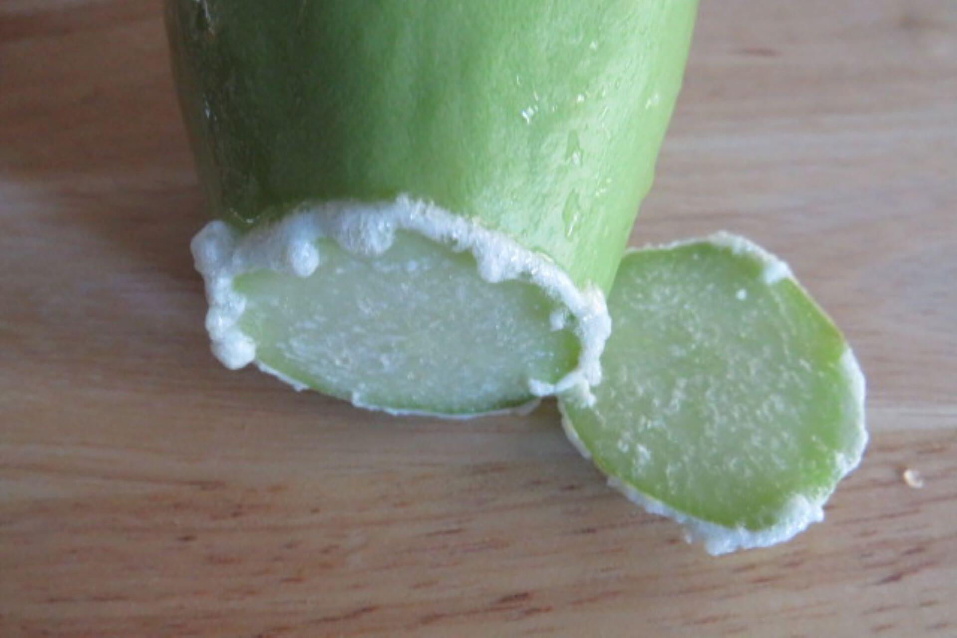 chayote with white froth