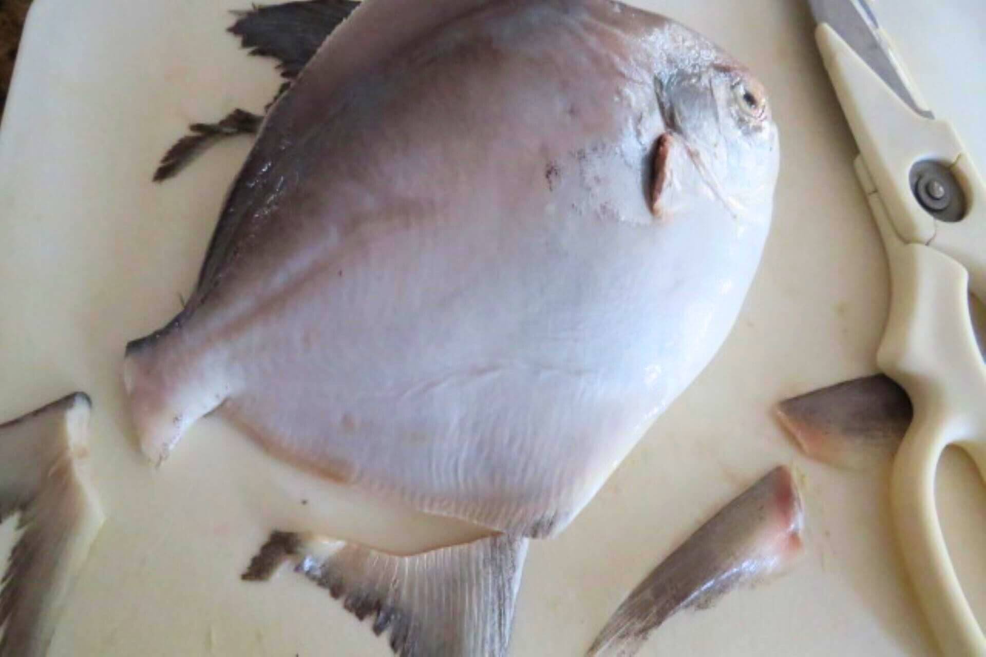 whole pomfret fish fins removed