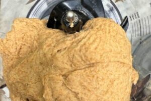 pizza dough in a food processor
