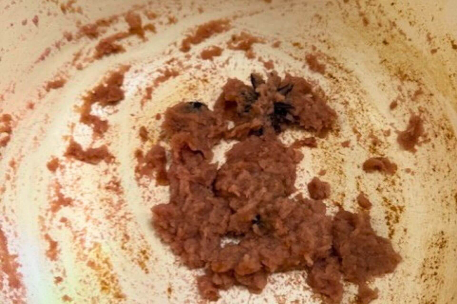 caramelized onion puree