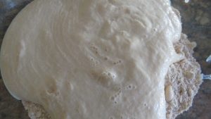 let the yeast mixture become frothy