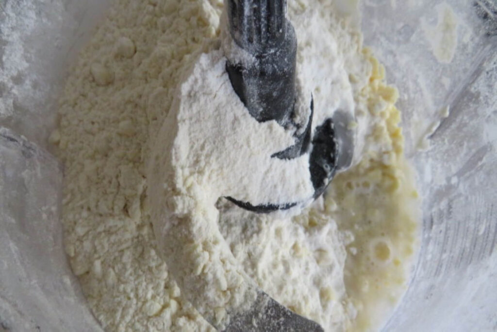 flour and butter with water in a food processor