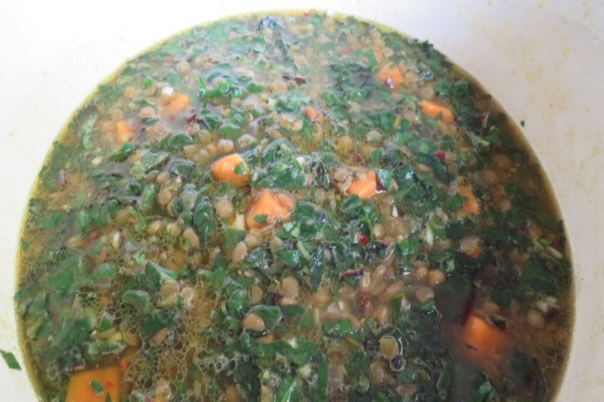 Swiss Chard Soup - Stream of Flavors