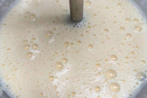reduced milk whisked with an immersion blender