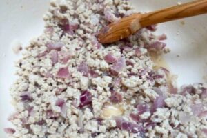 ground chicken cooked with onions